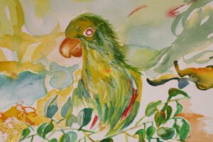 Papagei, Aquarell auf Papier